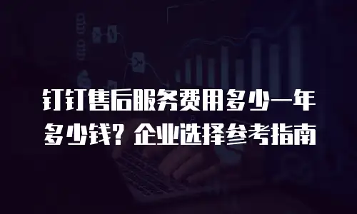 钉钉售后服务费用多少一年多少钱？企业选择参考指南