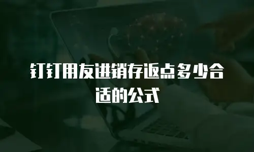 钉钉用友进销存返点多少合适的公式