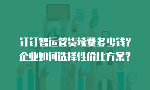 钉钉智运管货续费多少钱？企业如何选择性价比方案？