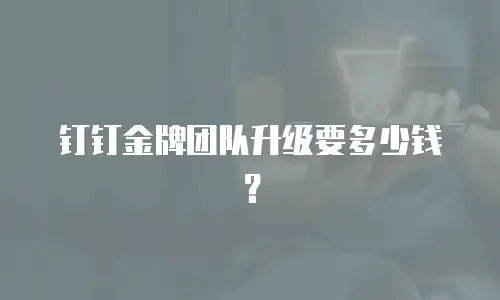 钉钉金牌团队升级要多少钱？