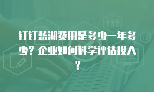 钉钉蓝湖费用是多少一年多少？企业如何科学评估投入？