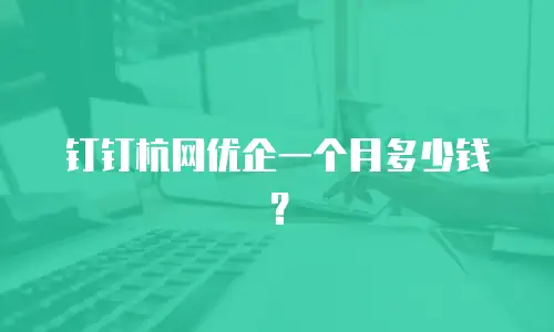 钉钉杭网优企一个月多少钱？