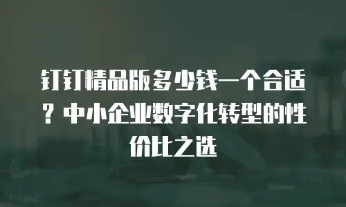 钉钉精品版多少钱一个合适？中小企业数字化转型的性价比之选