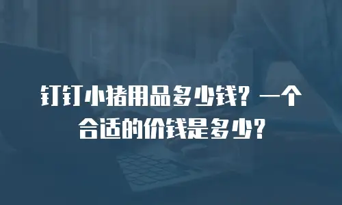钉钉小猪用品多少钱？一个合适的价钱是多少？