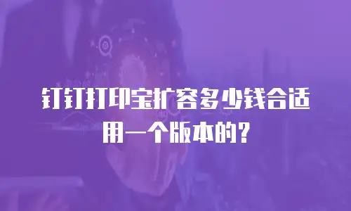钉钉打印宝扩容多少钱合适用一个版本的？