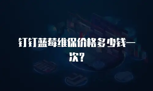 钉钉蓝莓维保价格多少钱一次？