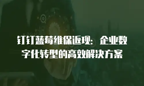 钉钉蓝莓维保返现：企业数字化转型的高效解决方案