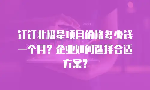 钉钉北极星项目价格多少钱一个月？企业如何选择合适方案？