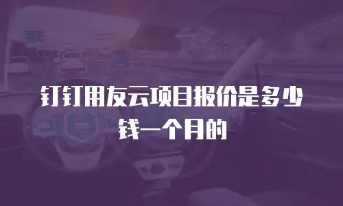 钉钉用友云项目报价是多少钱一个月的