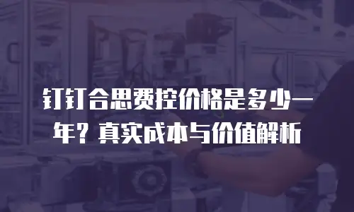 钉钉合思费控价格是多少一年？真实成本与价值解析