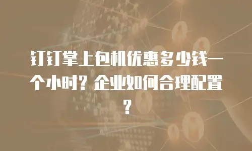 钉钉掌上包机优惠多少钱一个小时？企业如何合理配置？