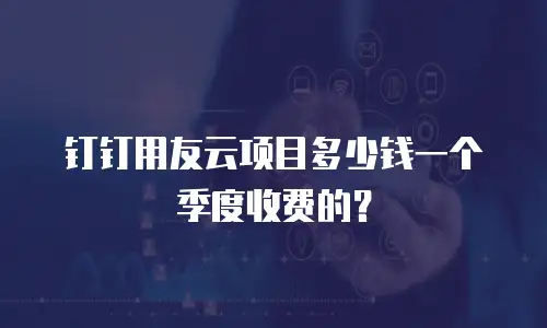 钉钉用友云项目多少钱一个季度收费的？