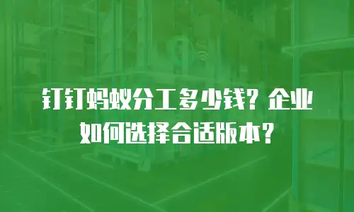 钉钉蚂蚁分工多少钱？企业如何选择合适版本？