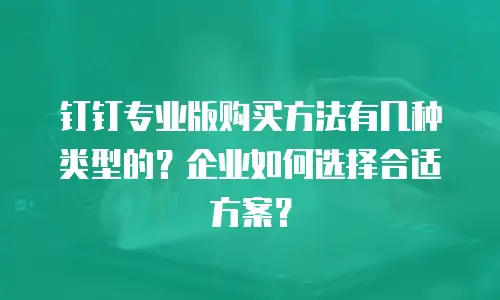 钉钉专业版购买方法有几种类型的？企业如何选择合适方案？