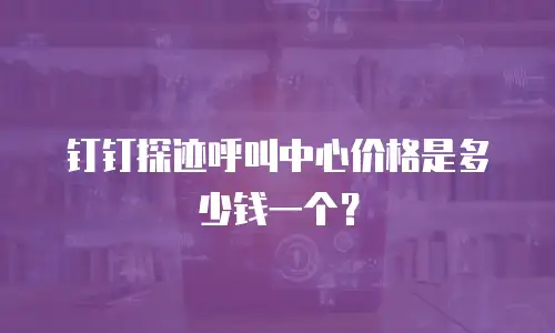 钉钉探迹呼叫中心价格是多少钱一个？