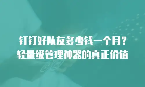 钉钉好队友多少钱一个月？轻量级管理神器的真正价值