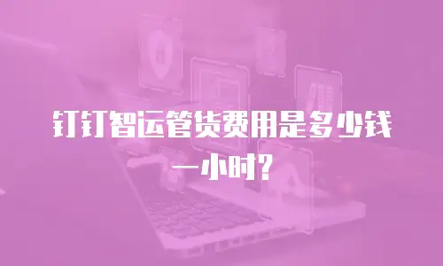 钉钉智运管货费用是多少钱一小时？