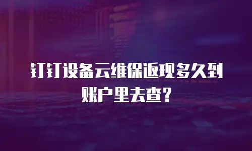 钉钉设备云维保返现多久到账户里去查？