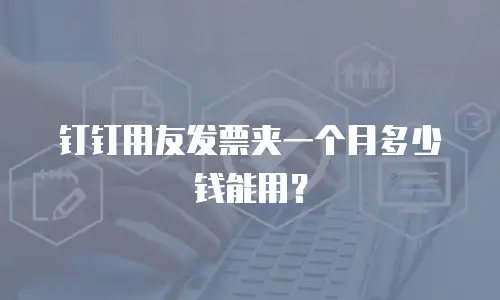 钉钉用友发票夹一个月多少钱能用？