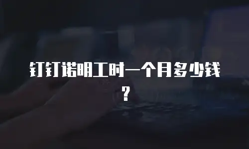 钉钉诺明工时一个月多少钱？