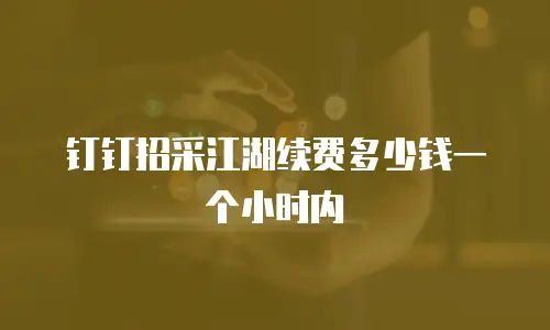 钉钉招采江湖续费多少钱一个小时内