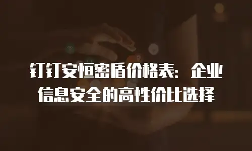 钉钉安恒密盾价格表：企业信息安全的高性价比选择