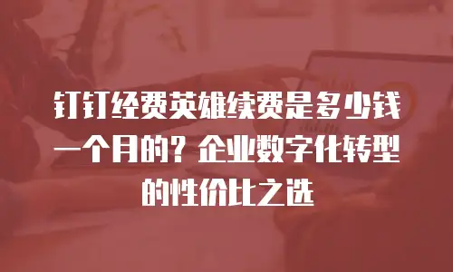 钉钉经费英雄续费是多少钱一个月的？企业数字化转型的性价比之选