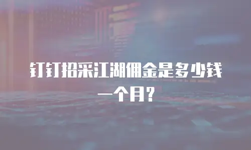 钉钉招采江湖佣金是多少钱一个月？