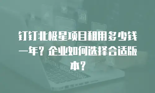 钉钉北极星项目租用多少钱一年？企业如何选择合适版本？