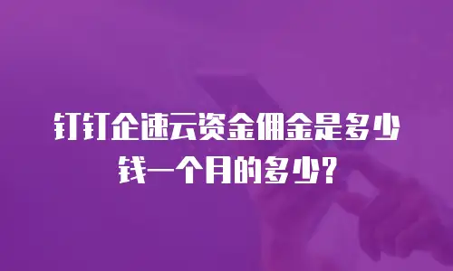 钉钉企速云资金佣金是多少钱一个月的多少？