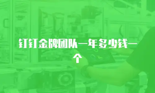 钉钉金牌团队一年多少钱一个
