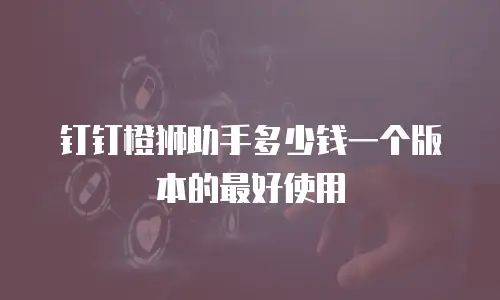 钉钉橙狮助手多少钱一个版本的最好使用