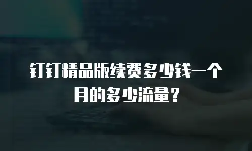 钉钉精品版续费多少钱一个月的多少流量？