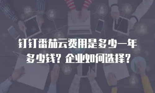钉钉番茄云费用是多少一年多少钱？企业如何选择？