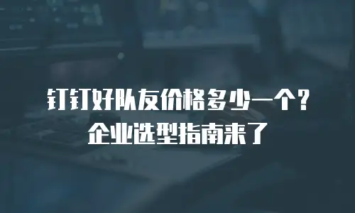 钉钉好队友价格多少一个？企业选型指南来了