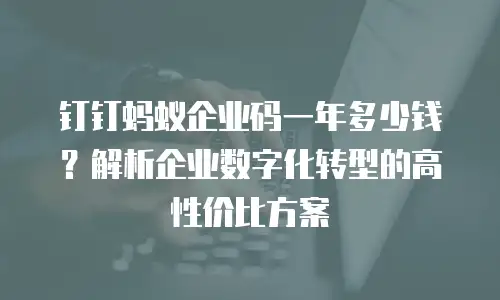 钉钉蚂蚁企业码一年多少钱？解析企业数字化转型的高性价比方案