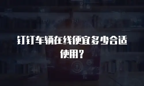 钉钉车辆在线便宜多少合适使用？
