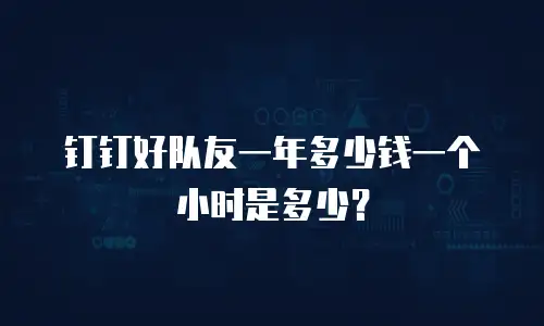 钉钉好队友一年多少钱一个小时是多少？