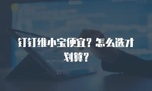 钉钉维小宝便宜？怎么选才划算？