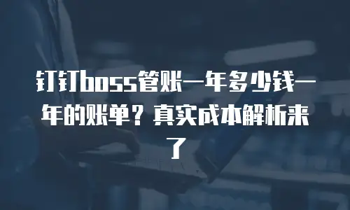 钉钉boss管账一年多少钱一年的账单？真实成本解析来了
