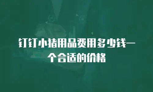 钉钉小猪用品费用多少钱一个合适的价格