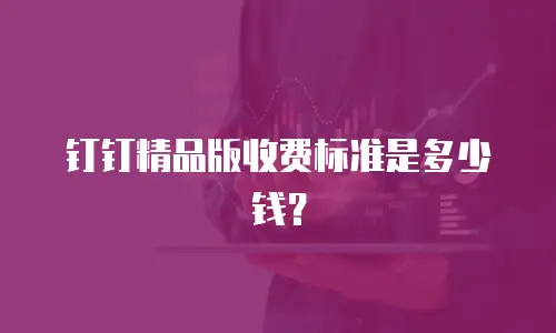 钉钉精品版收费标准是多少钱？