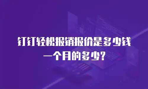 钉钉轻松报销报价是多少钱一个月的多少？