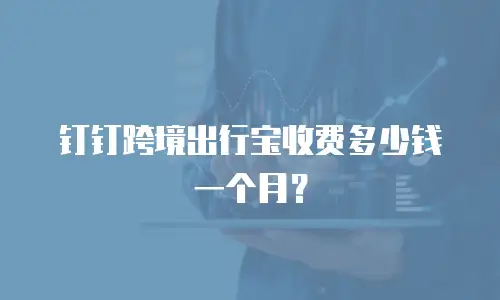 钉钉跨境出行宝收费多少钱一个月？