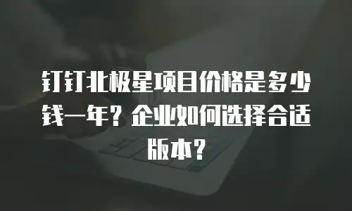 钉钉北极星项目价格是多少钱一年？企业如何选择合适版本？