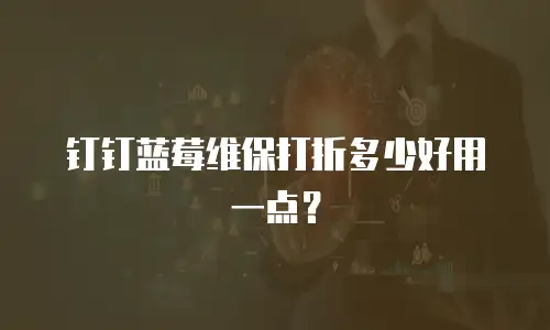 钉钉蓝莓维保打折多少好用一点？
