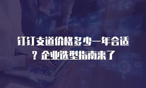 钉钉支道价格多少一年合适？企业选型指南来了