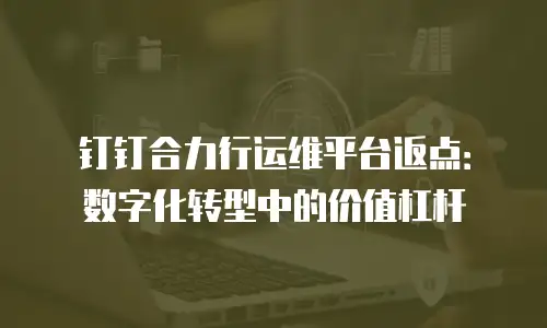 钉钉合力行运维平台返点：数字化转型中的价值杠杆