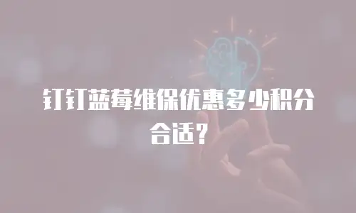 钉钉蓝莓维保优惠多少积分合适？