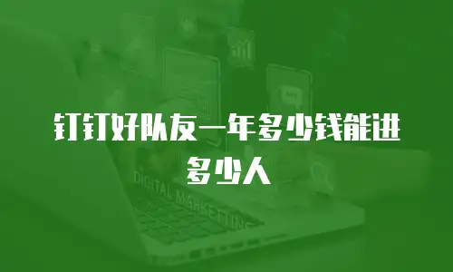 钉钉好队友一年多少钱能进多少人